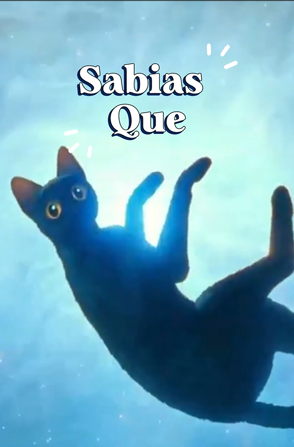 “Flow”: La Película que Rompió el Mito y Aumentó en un 30% la Adopción de Gatos Negros